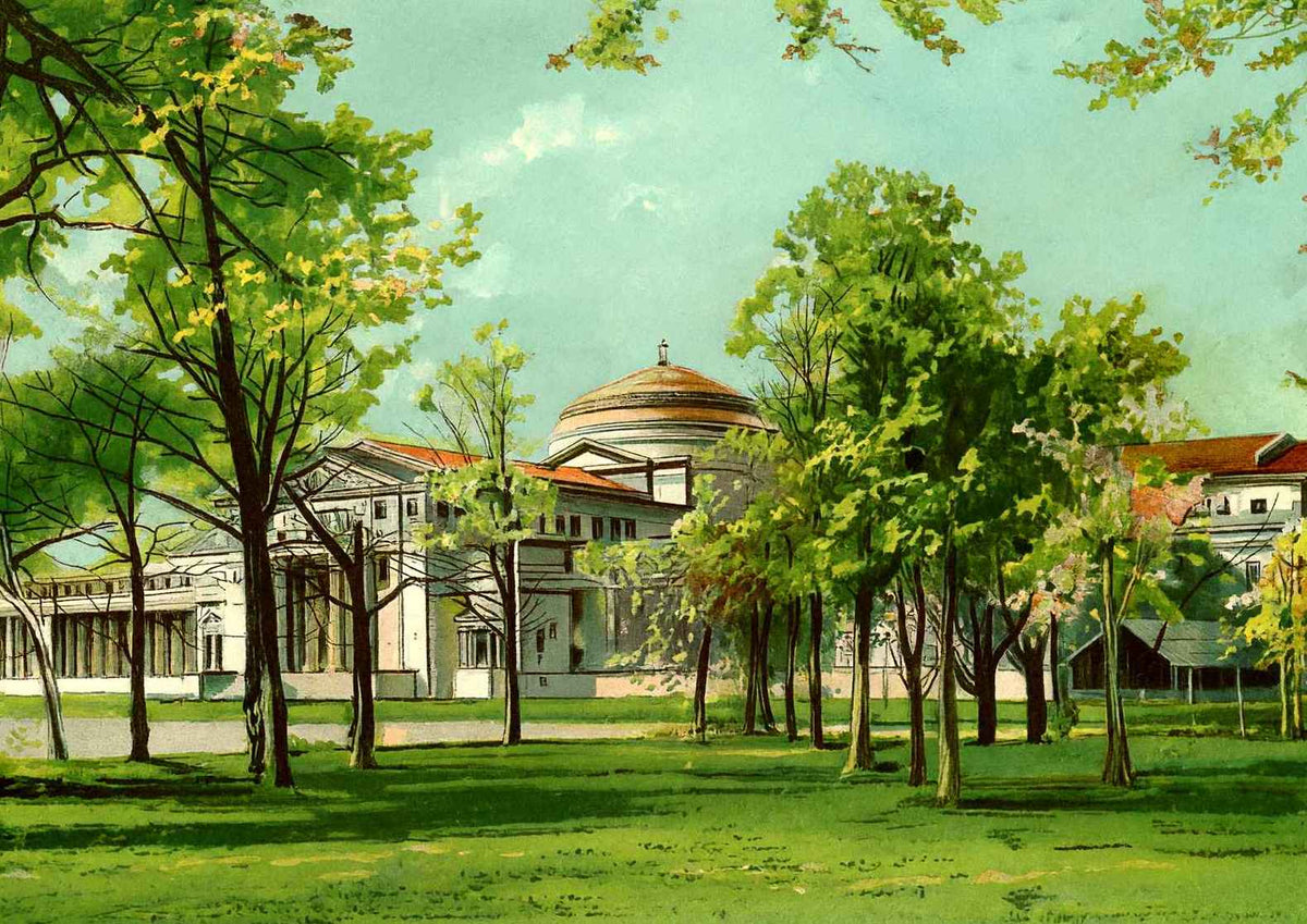 Field Museum Jackson Park Chicago Vintage Print (7 Sizes) - Shipped Flat