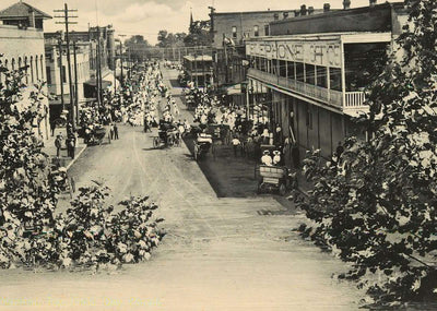 Field Day Parade Marshall Texas in 1911 Vintage Print (7 Sizes) - Acid Free