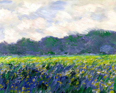 Field of Yellow Irises at Giverny painting by Claude Monet (1887)