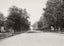 Fifth Avenue Clinton Iowa in 1905 Vintage Photo Print (7 Sizes) - Reproduction