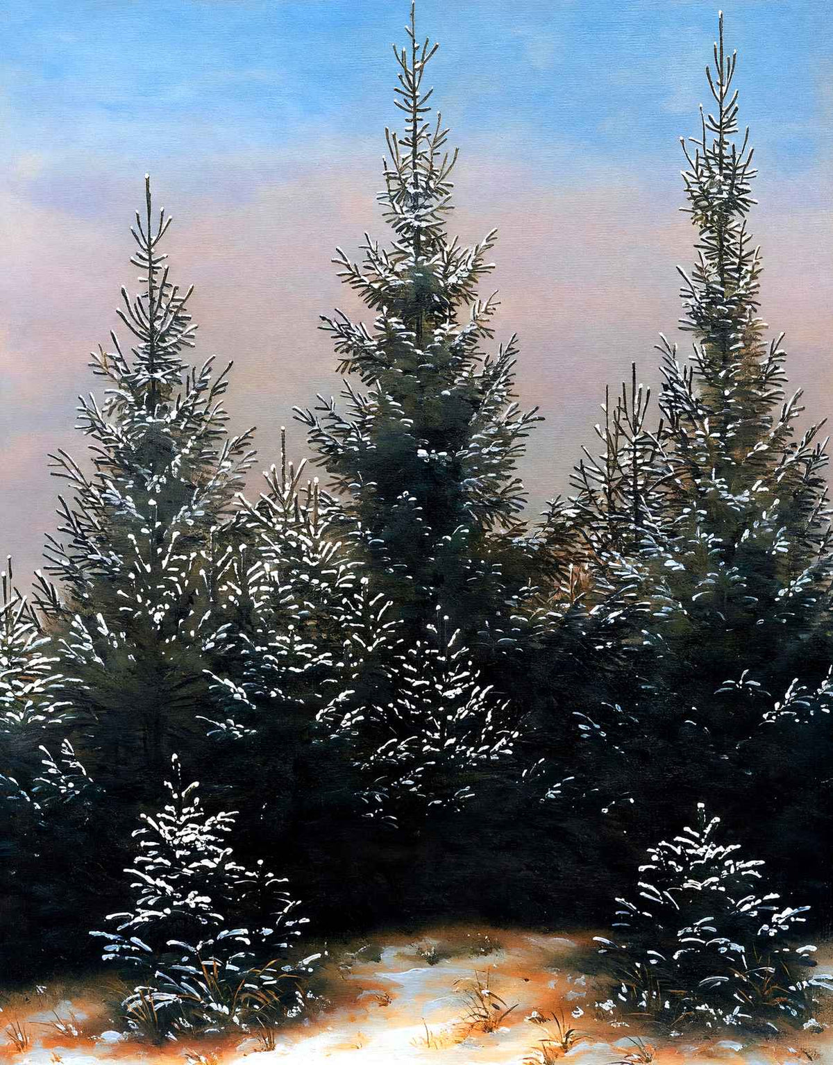 Fir Trees in the Snow 1828 by Caspar David Friedrich Art Print (6 Sizes)