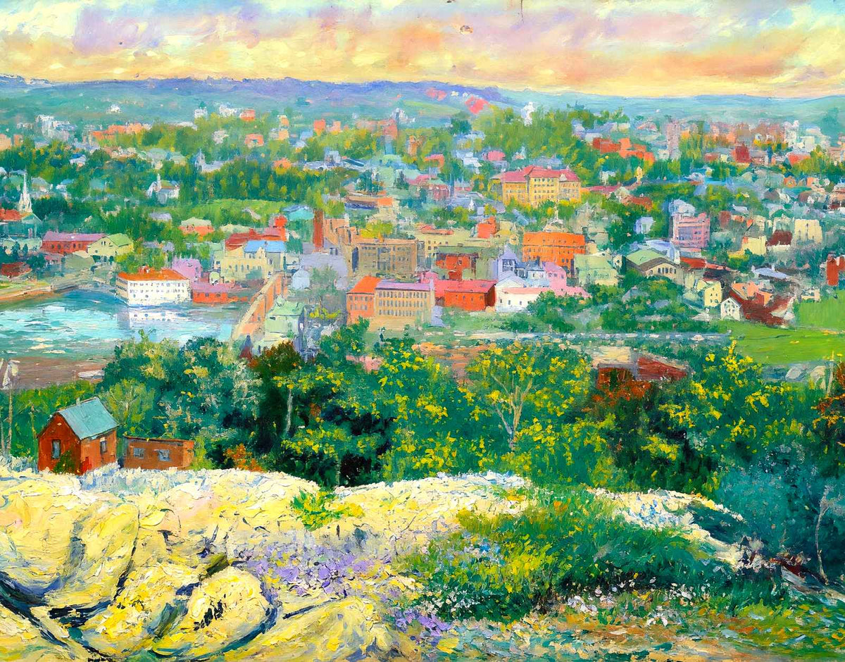 Bird's-eye View from Rollstone Hill, Fitchburg, MA in 1907 Art Print (7 Sizes)