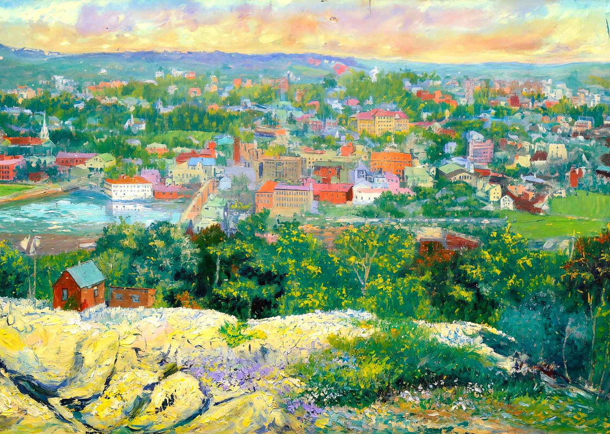 Bird's-eye View from Rollstone Hill, Fitchburg, MA in 1907 Art Print (7 Sizes)