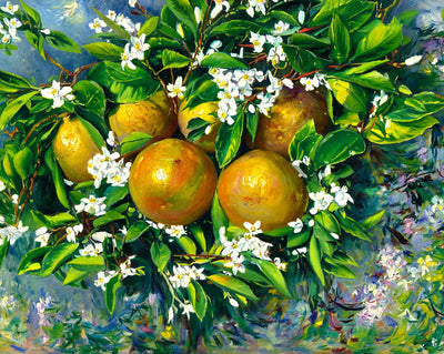 Florida Grapefruit in 1908 painting