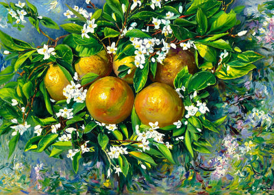Florida Grapefruit in 1908 Art Print (7 Sizes) - Acid Free