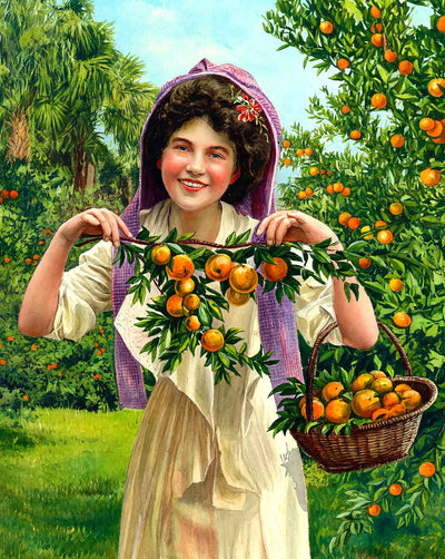 Florida's Fairest Fruit in 1908 art print