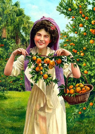 Florida's Fairest Fruit in 1908 Art Print (7 Sizes) - Premium Quality