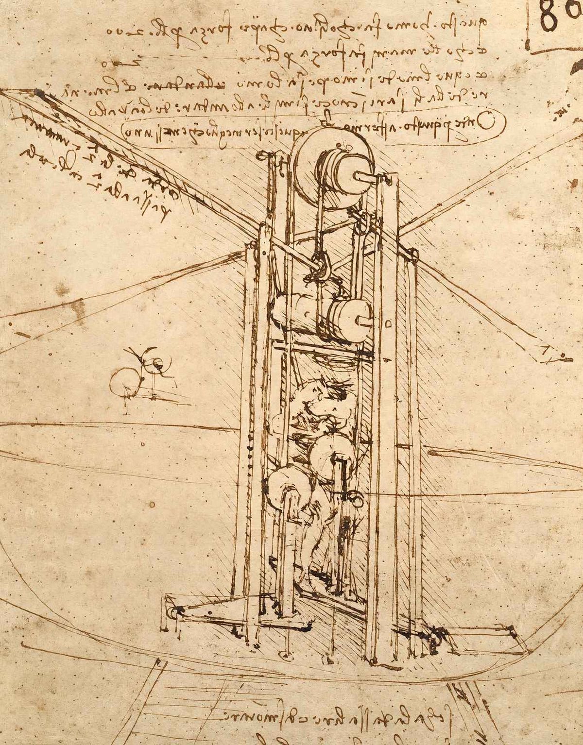 Flying Machine 1487 Drawing by Leonardo da Vinci Art Print (6 Sizes) - Restored