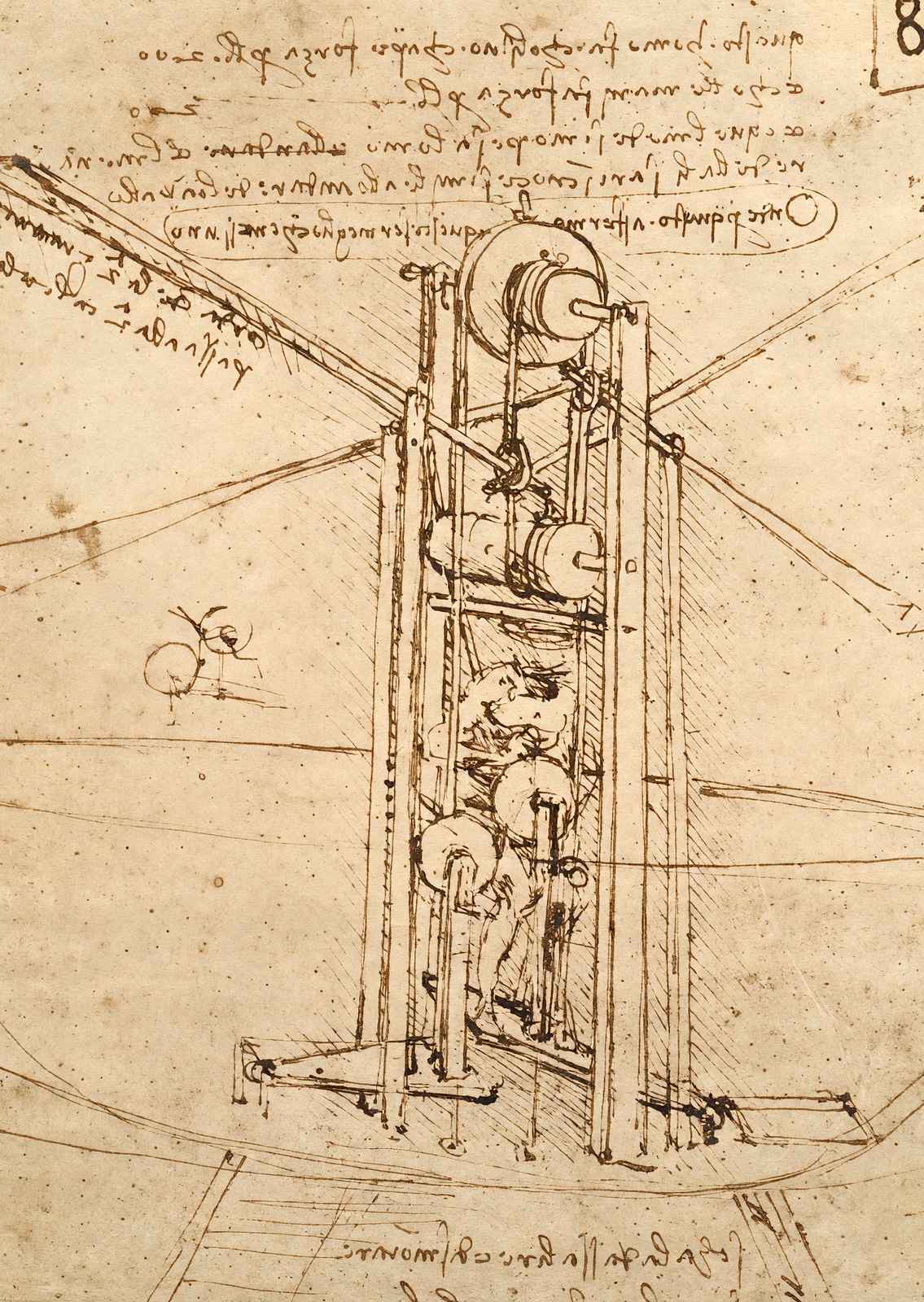 Flying Machine 1487 Drawing by Leonardo da Vinci Art Print (6 Sizes) - Restored