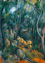 Forest Near the Rocky Caves Above the Chateau Noir 1904 Cezanne Print (6 Sizes)