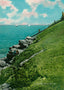 The Forty Steps Newport RI in 1905 Vintage Print (7 Sizes)