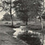 A Forest Brook Silver Birches New Forest in 1903 Vintage Print (7 Sizes)
