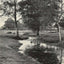 A Forest Brook Silver Birches New Forest in 1903 Vintage Print (7 Sizes)