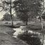 A Forest Brook Silver Birches New Forest in 1903 Vintage Print (7 Sizes)