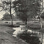 A Forest Brook
