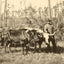 From Forest to Mill in Mobile, Alabama 1906 Vintage Print (7 Sizes) - Retouched