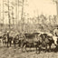 From Forest to Mill in Mobile