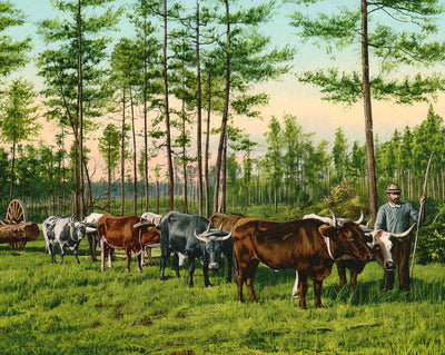 From Forest to Mill