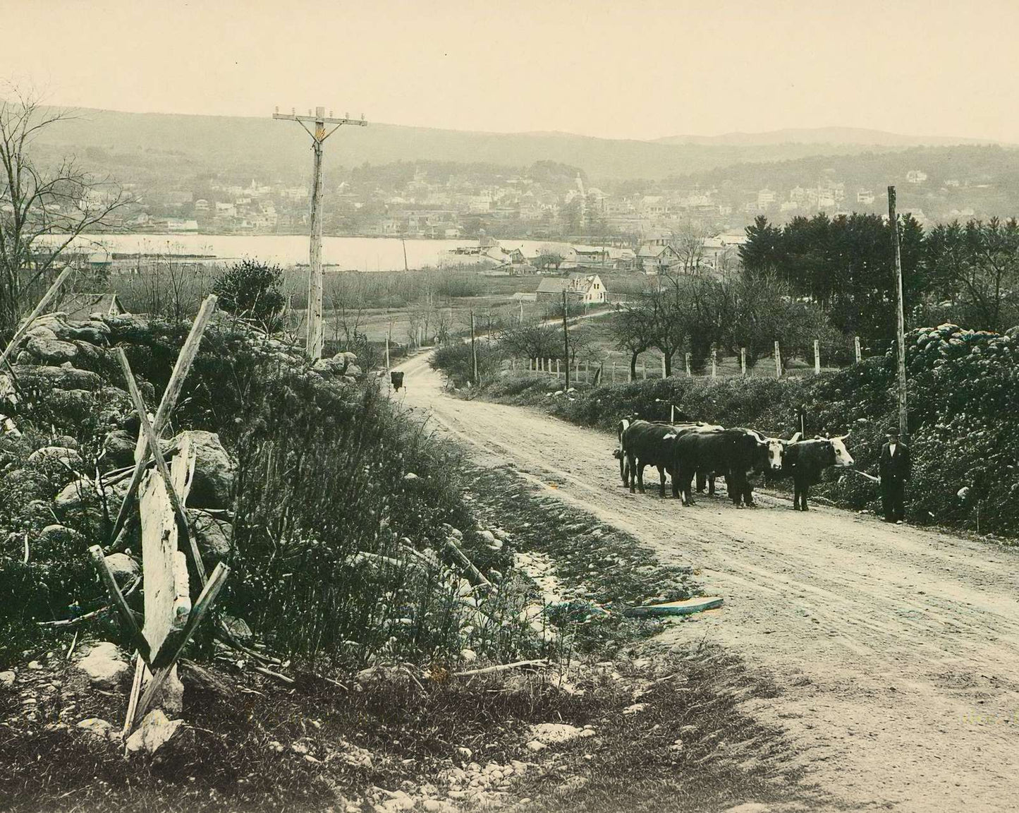 From Center Harbor Hill in Meredith vintage photo