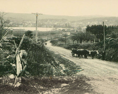 From Center Harbor Hill in Meredith vintage photo