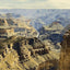 From Panorama Point Grand Canyon in 1908 Art Print (7 Sizes) - Premium Print