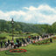 The Gardens