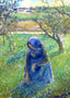 Gathering Herbs 1882 Painting by Camille Pissarro Fine Art Print (6 Sizes)