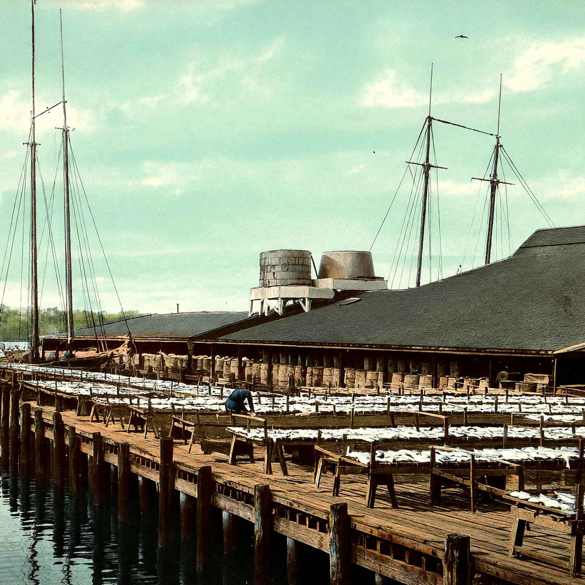 Fish Wharf, Gloucester, Massachusetts in 1907 Vintage Print (7 Sizes) - Enhanced