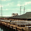 Fish Wharf, Gloucester, Massachusetts in 1907 Vintage Print (7 Sizes) - Enhanced