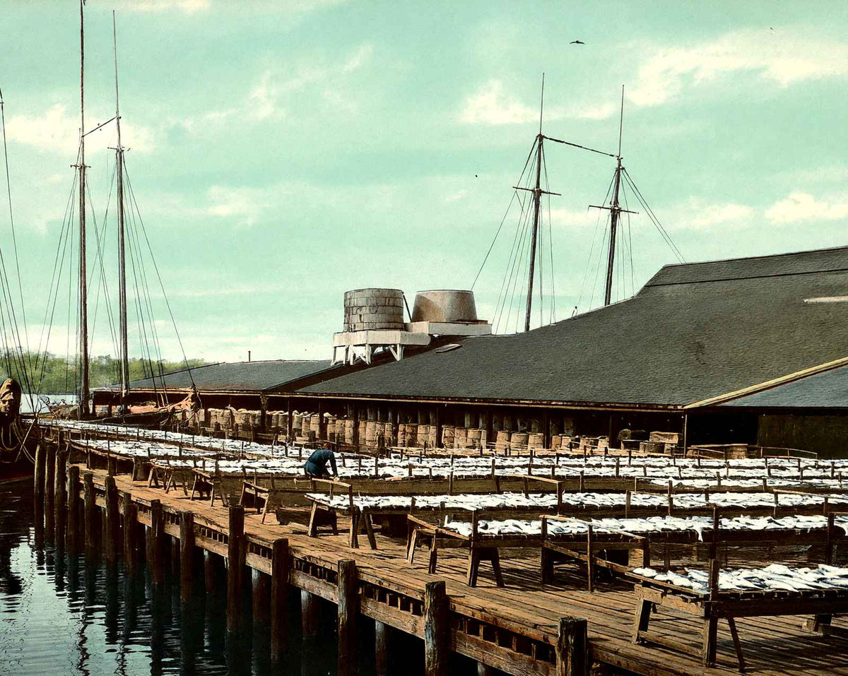 Fish Wharf