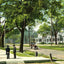 Government Street Mobile Alabama in 1905 Vintage Print (7 Sizes) - Restored