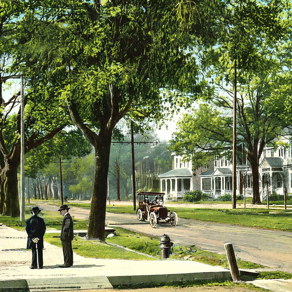 Government Street Mobile Alabama in 1905 Vintage Print (7 Sizes) - Restored
