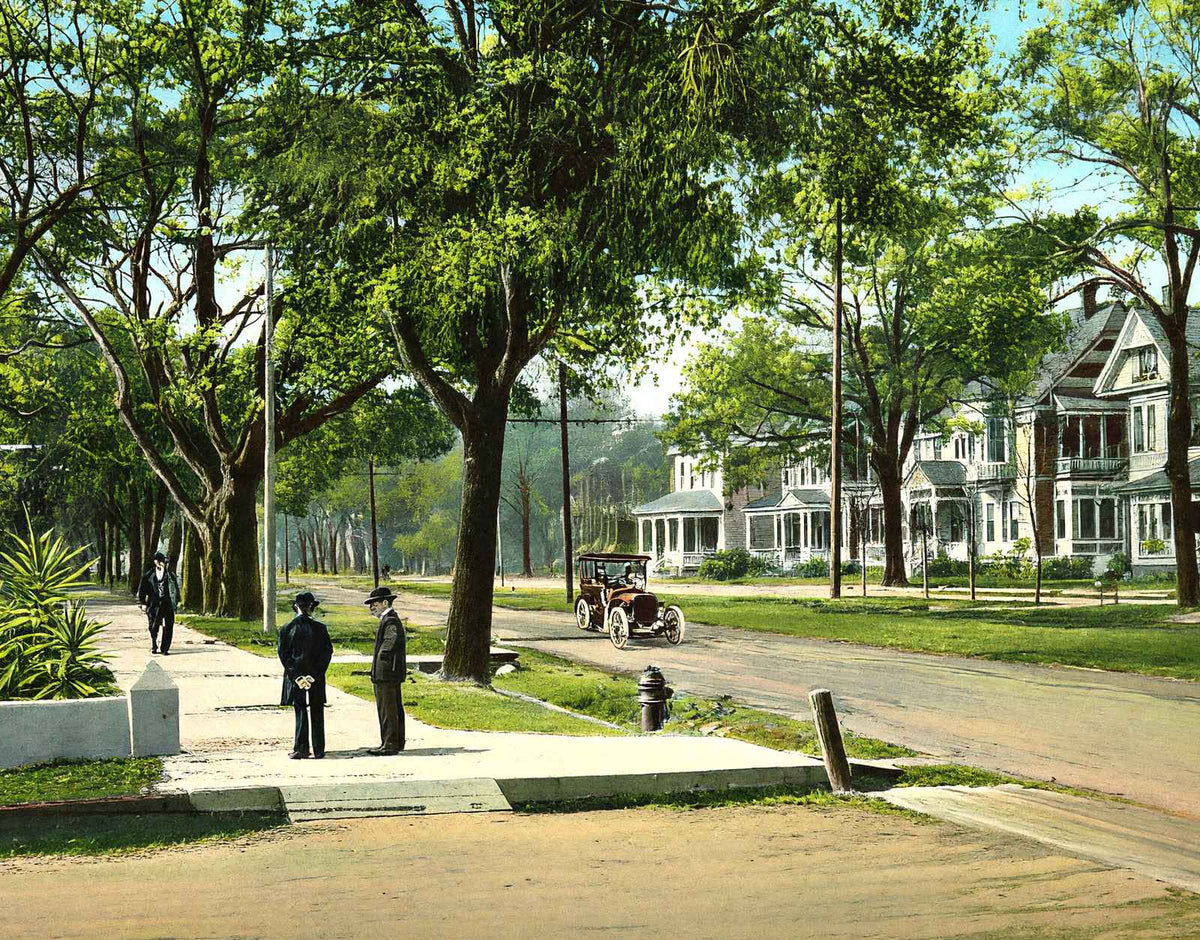 Government Street Mobile Alabama in 1905 Vintage Print (7 Sizes) - Restored