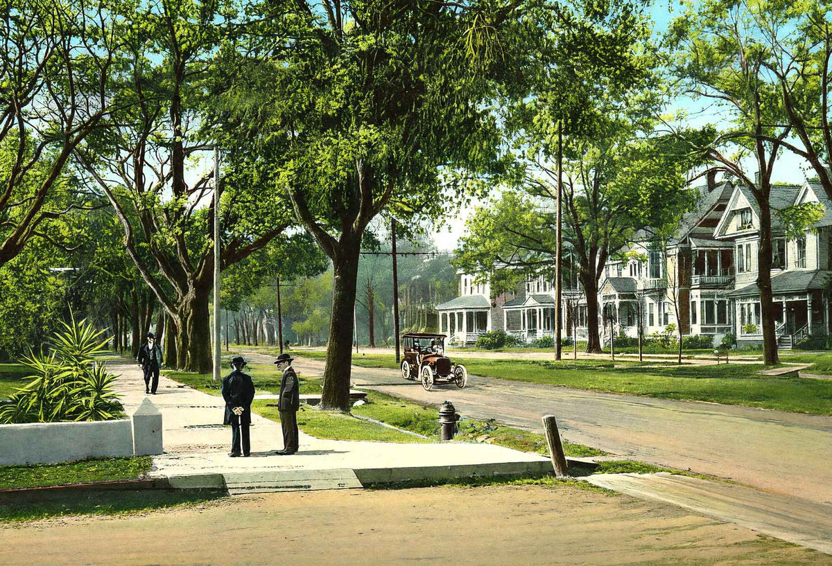 Government Street Mobile Alabama in 1905 Vintage Print (7 Sizes) - Restored