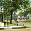 Government Street Mobile Alabama in 1905 Vintage Print (7 Sizes) - Restored