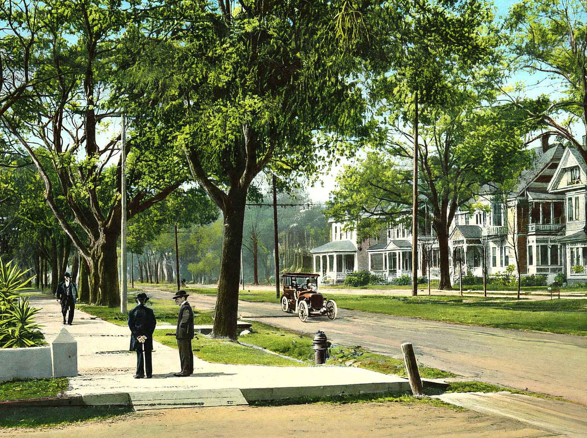 Government Street Mobile Alabama in 1905 Vintage Print (7 Sizes) - Restored