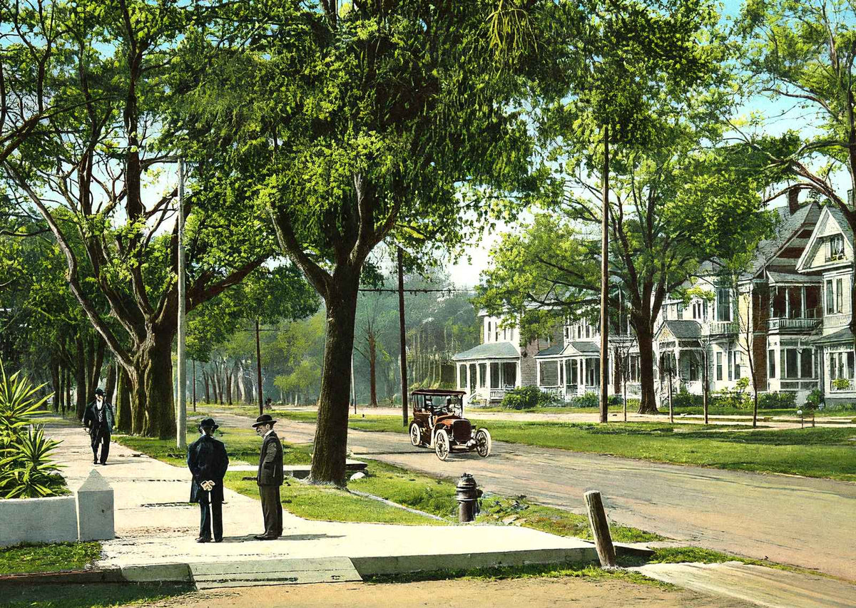 Government Street Mobile Alabama in 1905 Vintage Print (7 Sizes) - Restored