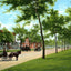 Grand Boulevard Chicago in 1905 Vintage Print (7 Sizes) - Shipped Flat