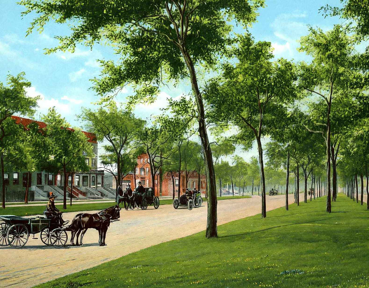 Grand Boulevard Chicago in 1905 Vintage Print (7 Sizes) - Shipped Flat