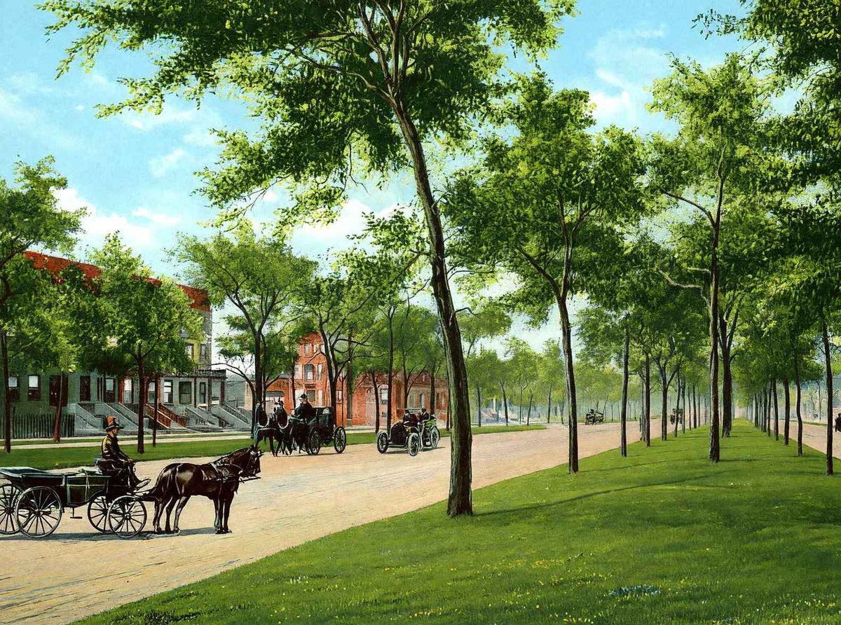 Grand Boulevard Chicago in 1905 Vintage Print (7 Sizes) - Shipped Flat