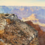 Sunset from Bright Angel Hotel Grand Canyon in 1907 Art Print (7 Sizes)