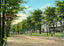 Berkshire Inn and Main Street Looking South, Great Barrington, MA Vintage Print
