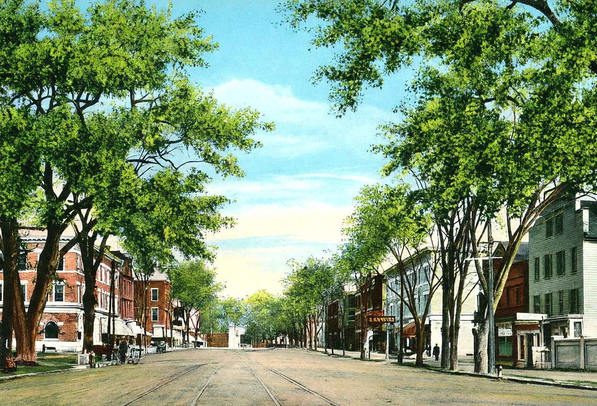 Business Centre Looking North, Great Barrington, MA in 1905 Vintage Print