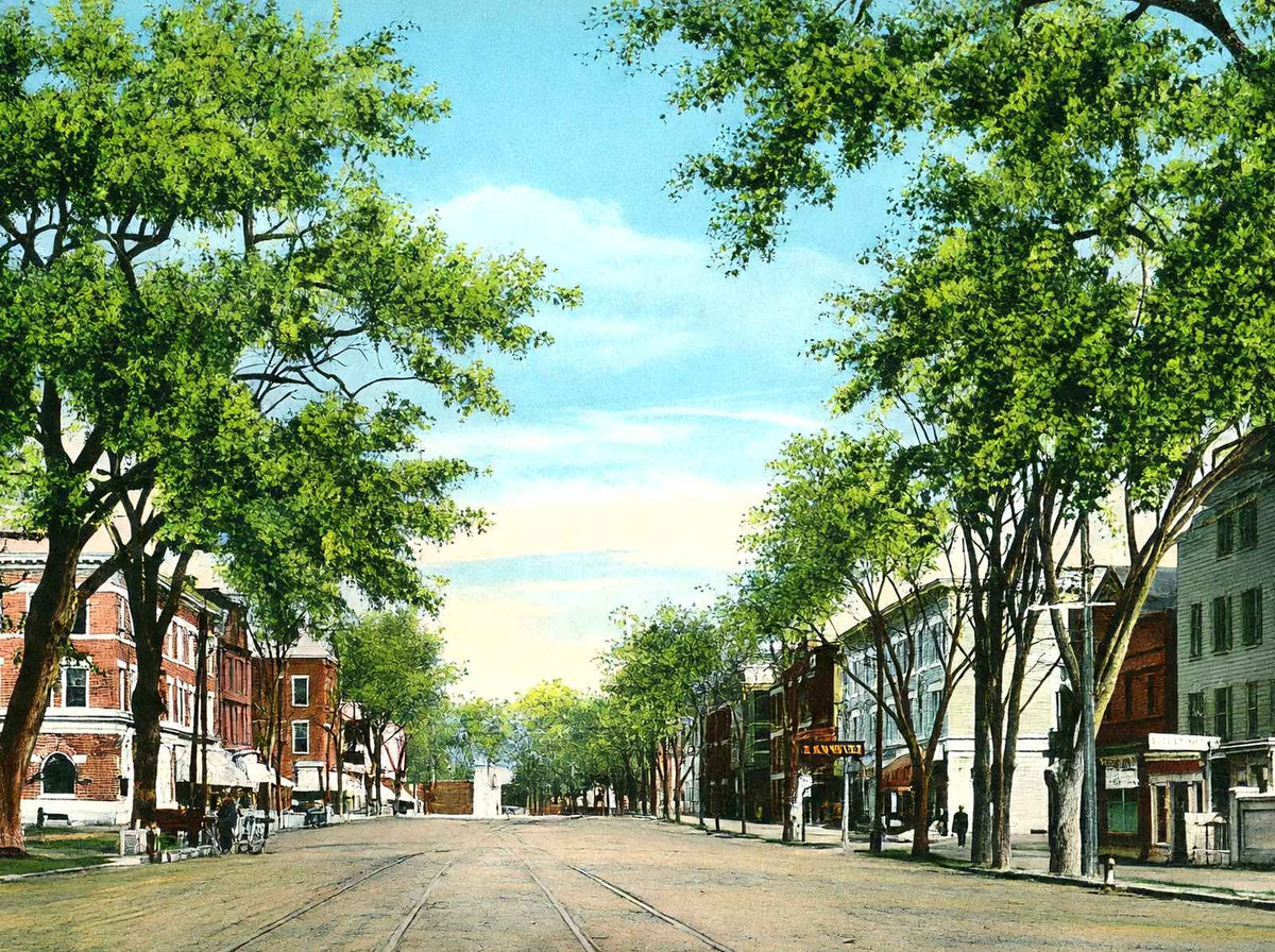 Business Centre Looking North, Great Barrington, MA in 1905 Vintage Print