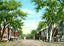 Business Centre Looking North, Great Barrington, MA in 1905 Vintage Print