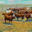 Group of Herefords in 1906 art print