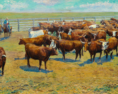 Group of Herefords in 1906 art print