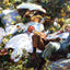 Group with Parasols painting by John Singer Sargent (1905)