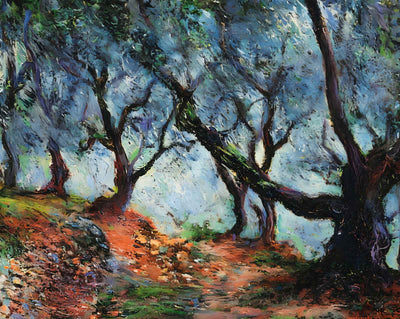 Grove of Olive Trees in Bordighera fine art print by Claude Monet (1884)