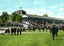 Grand Stand Hagerstown Fair Grounds MD in 1907 Vintage Print (7 Sizes)